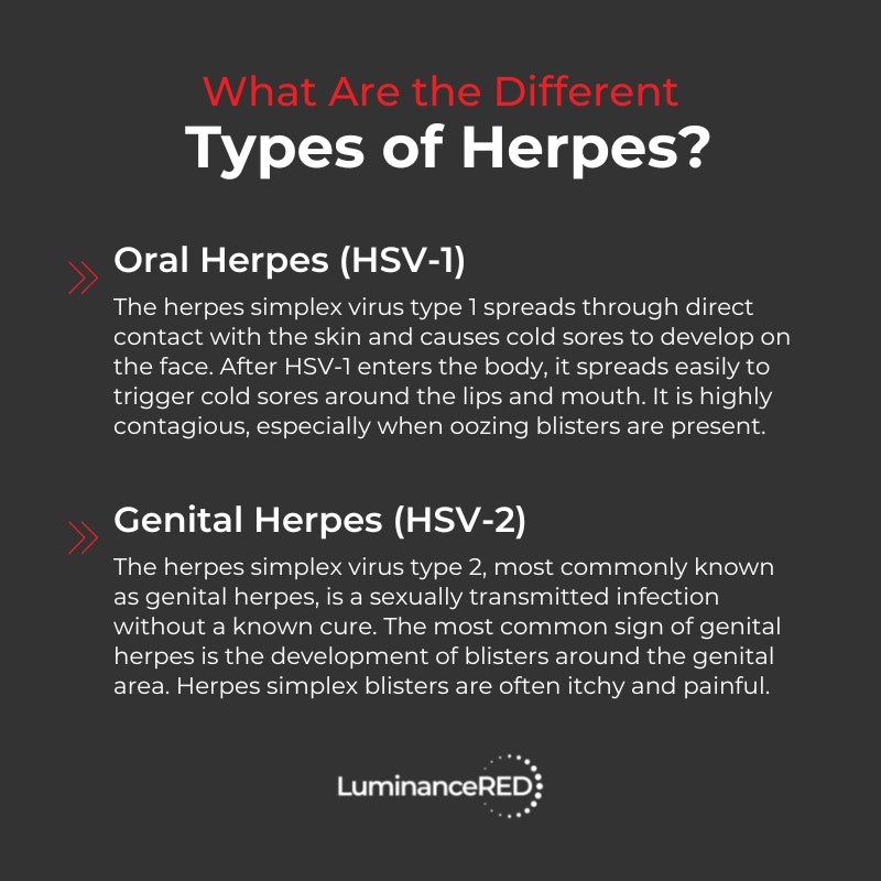 Infographic: The Ultimate Genital Herpes FAQ