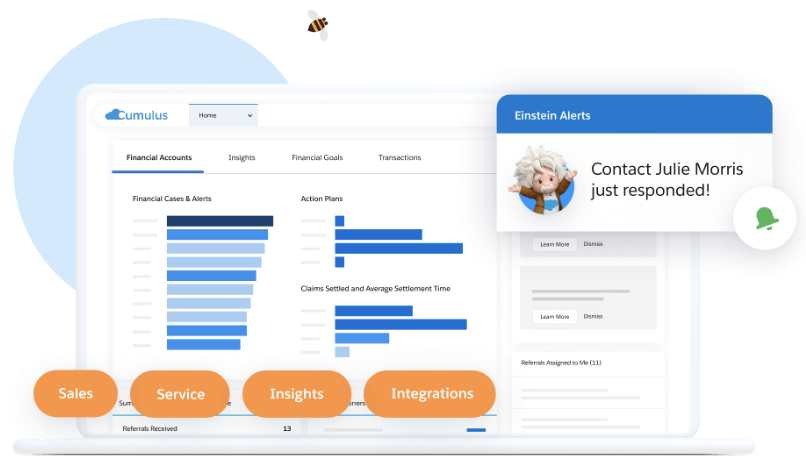 Salesforce Financial Services Cloud UI