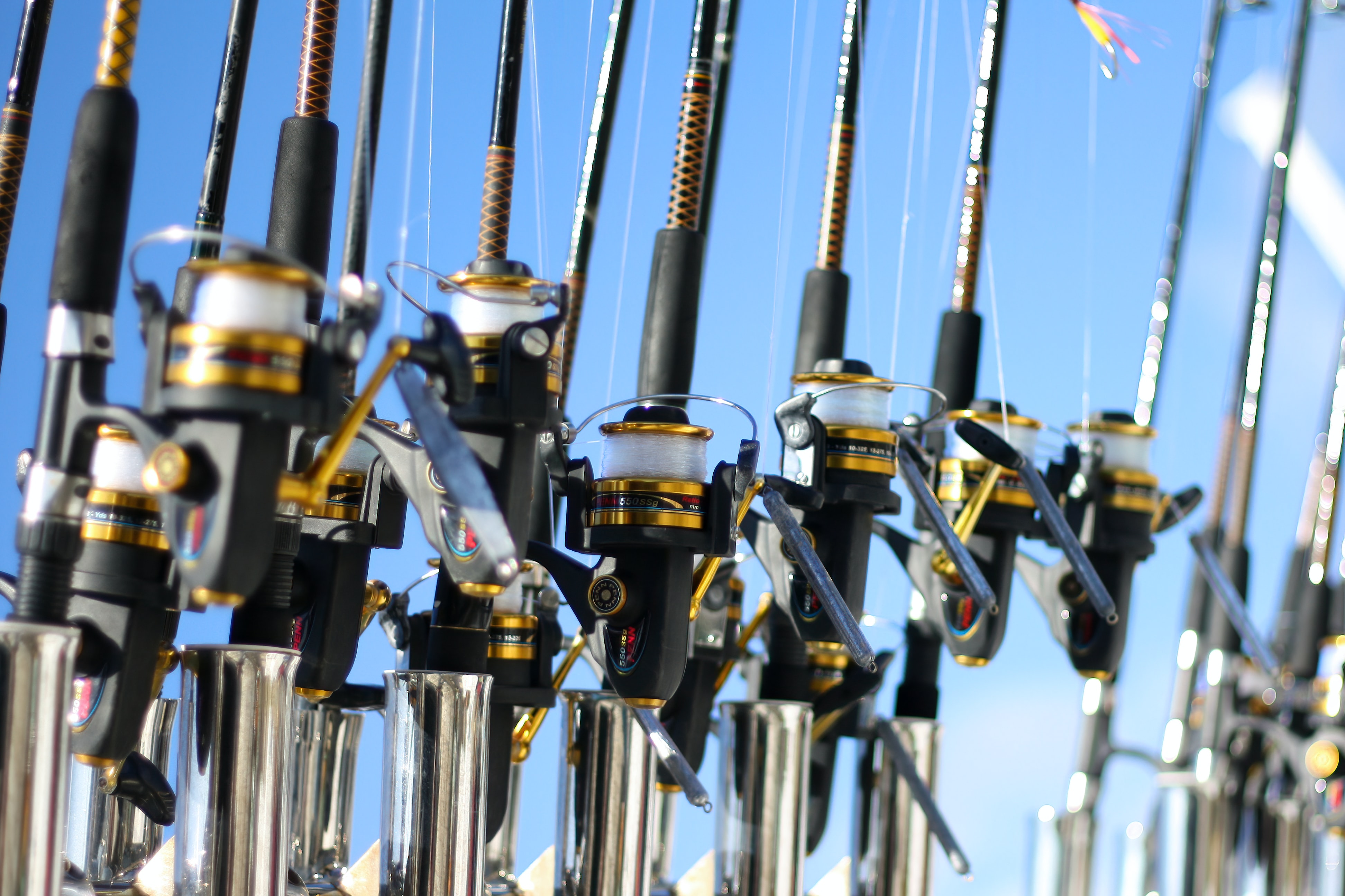 Storing Fishing Rods