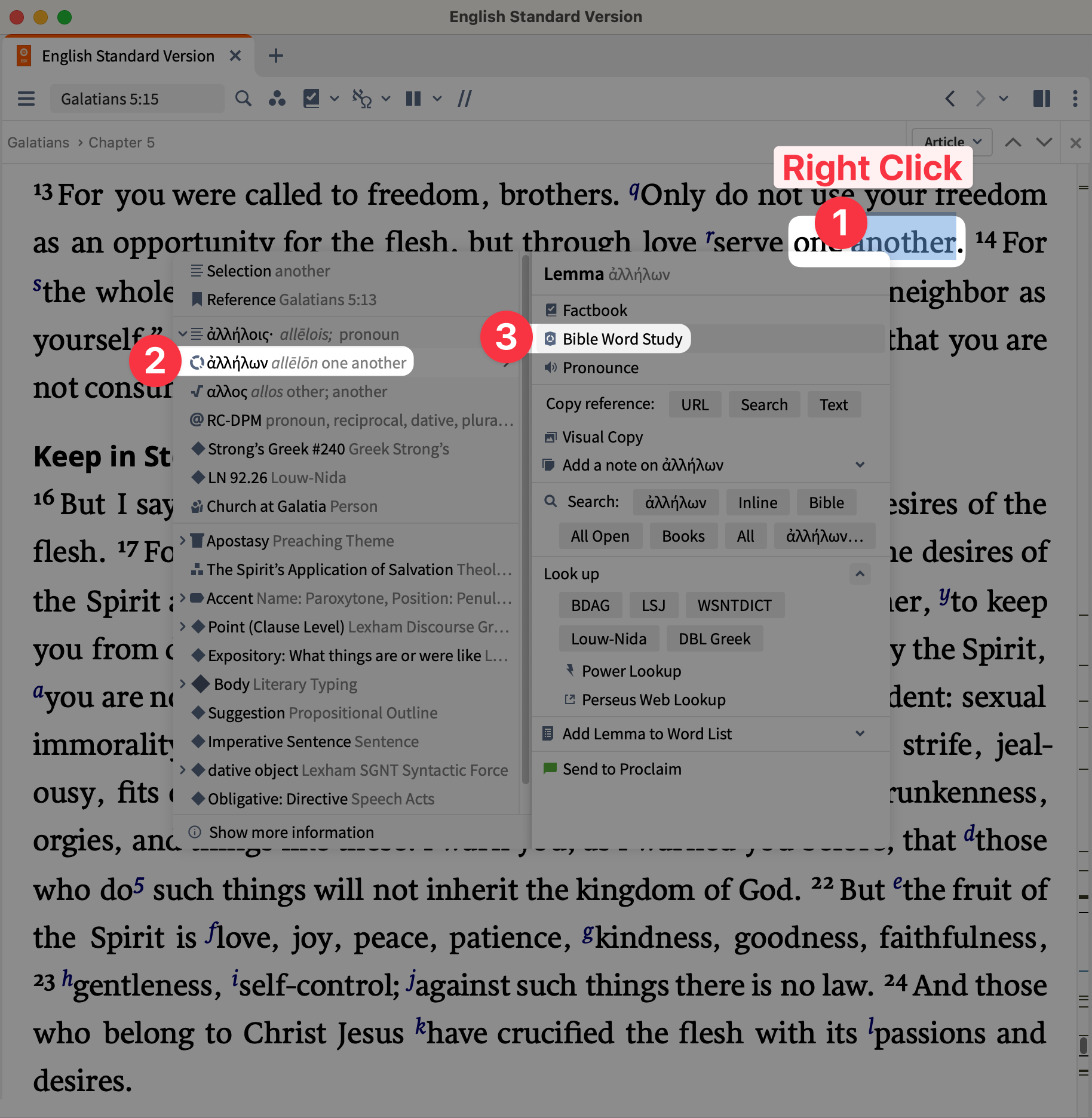 Screenshot of the Bible Study Word tool in Logos focusing on the one anothers.